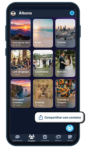 Interface de Álbuns OrionXApp